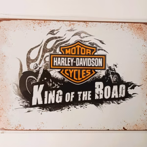metalen bord harley davidson king of the road