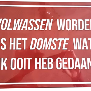 Metalen Bord Volwassen Worden Was Het Domste Wat Ik Ooit Heb Gedaan 30x20 cm