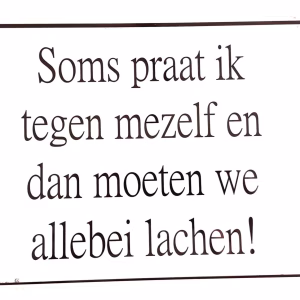 Metalen Bord Soms Praat Ik Tegen Mezelf En Dan Moeten We Allebei Lachen 30x20 cm