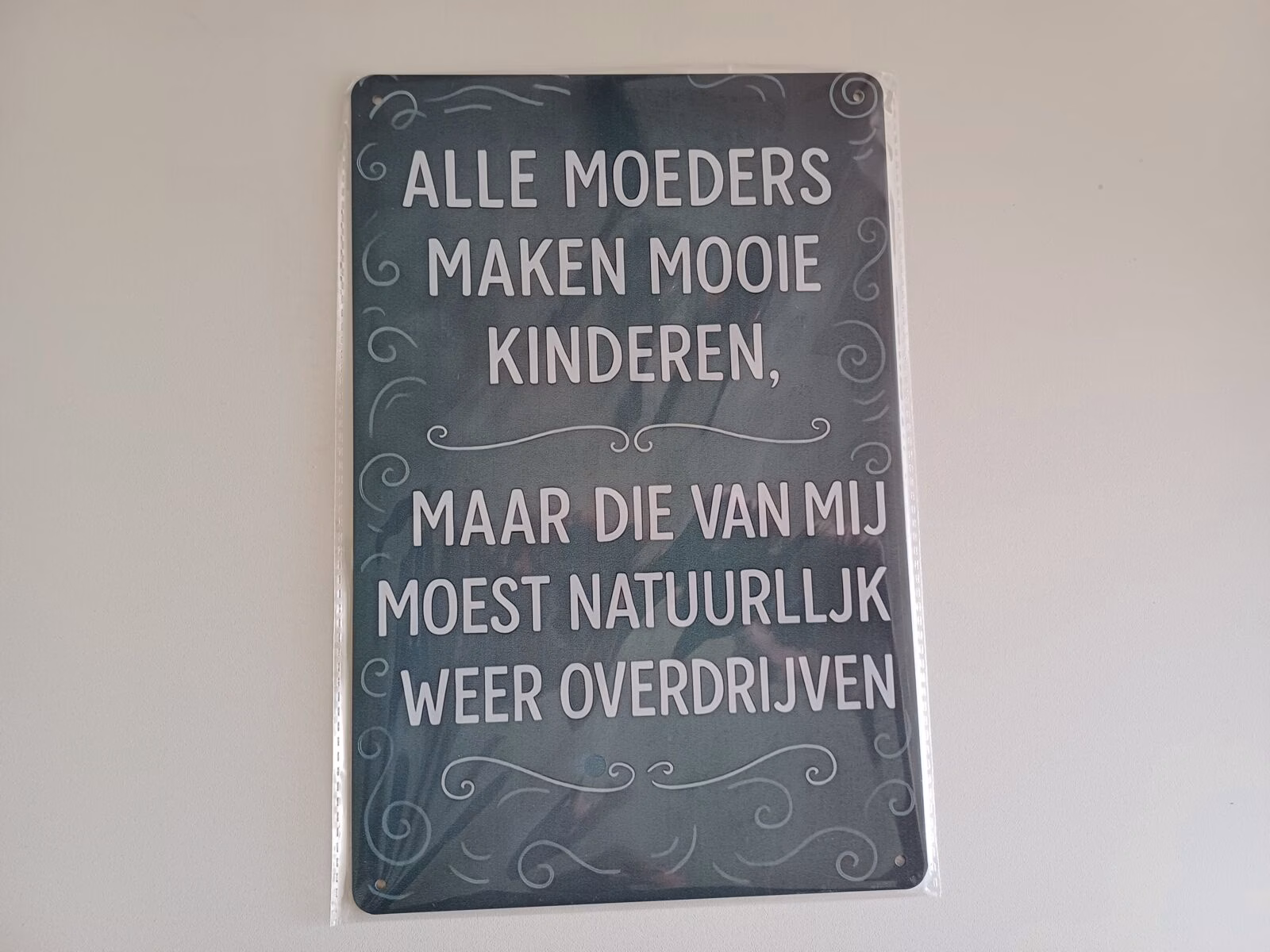Metalen Bord Alle Moeders Maken Mooie Kinderen 30x20 cm 1 Metalen Bord Alle Moeders Maken Mooie Kinderen maar die van mij moest natuurlijk weer overdrijven 30x20 cm