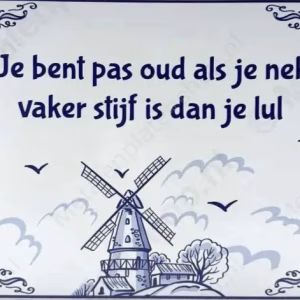 delfts blauw humor wandbord